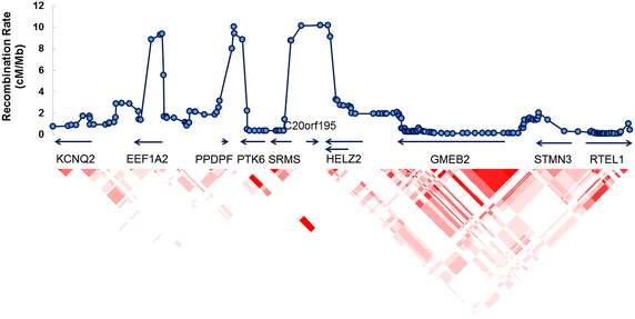 Fig. 1