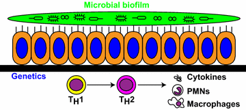 Fig. 1