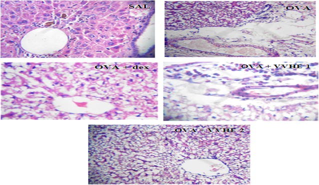 Fig. 6