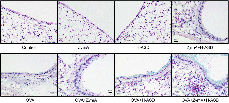 Fig. 2