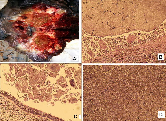 Fig. 4