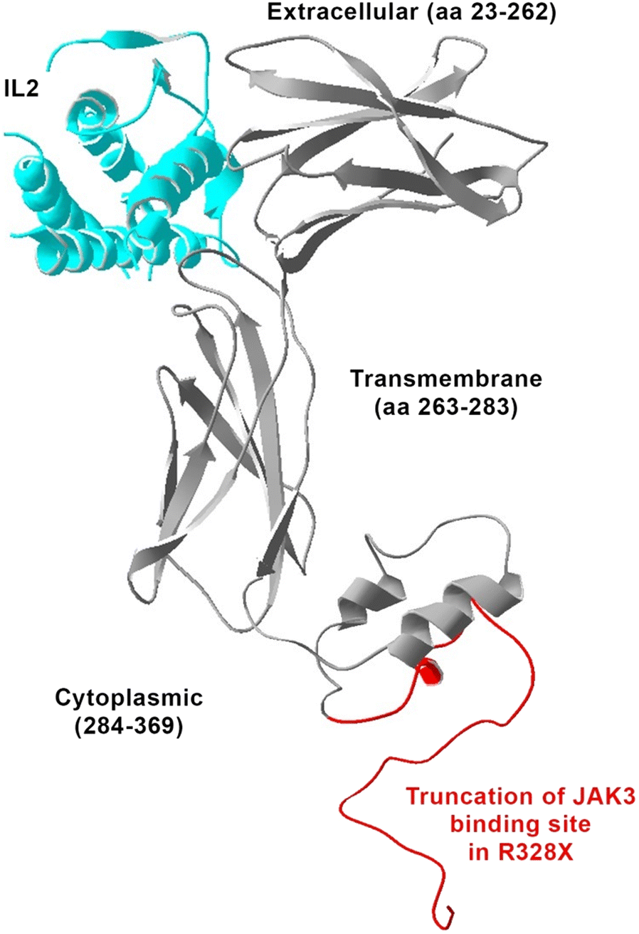 Fig. 2