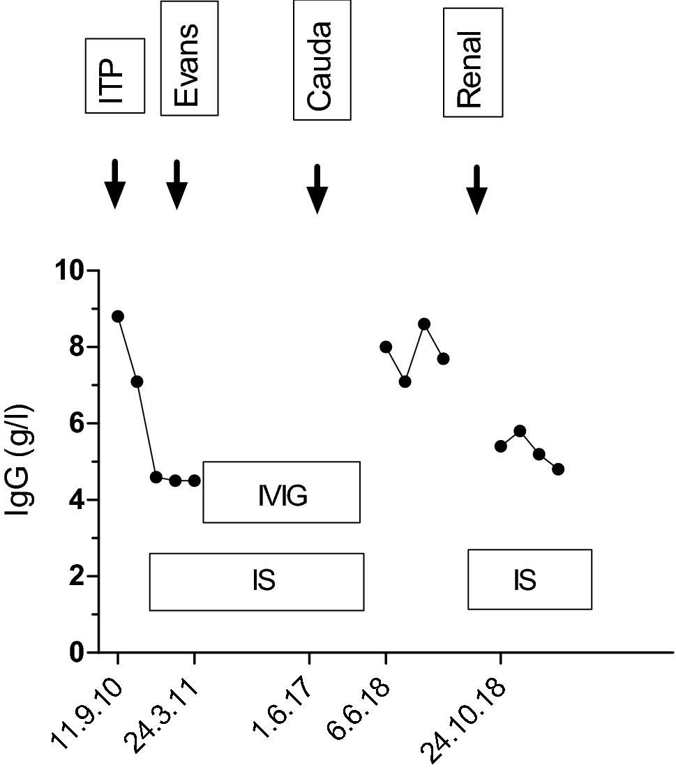 Fig. 3