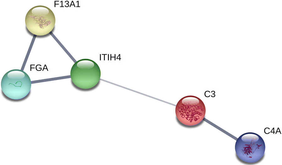 Fig. 2