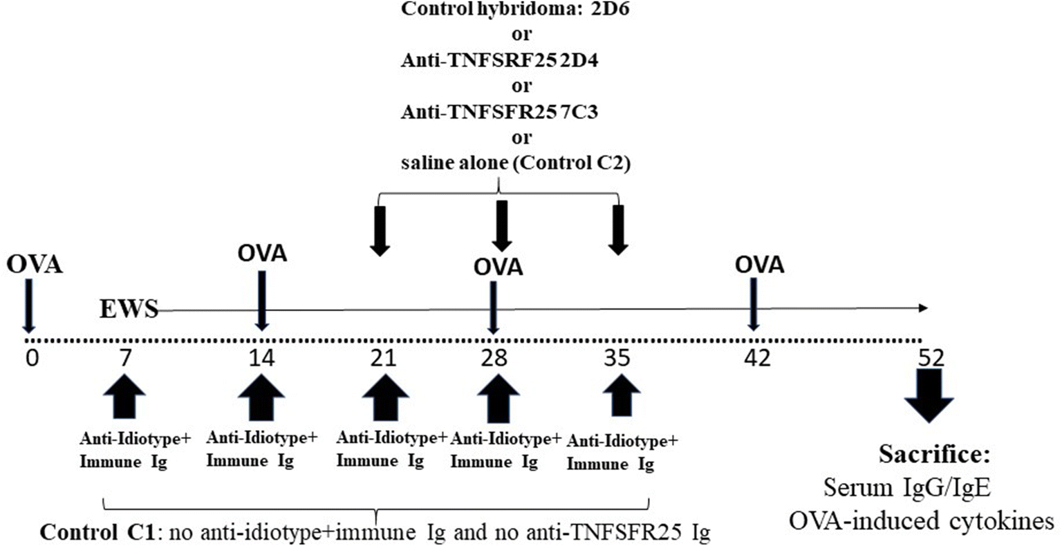 Fig. 8