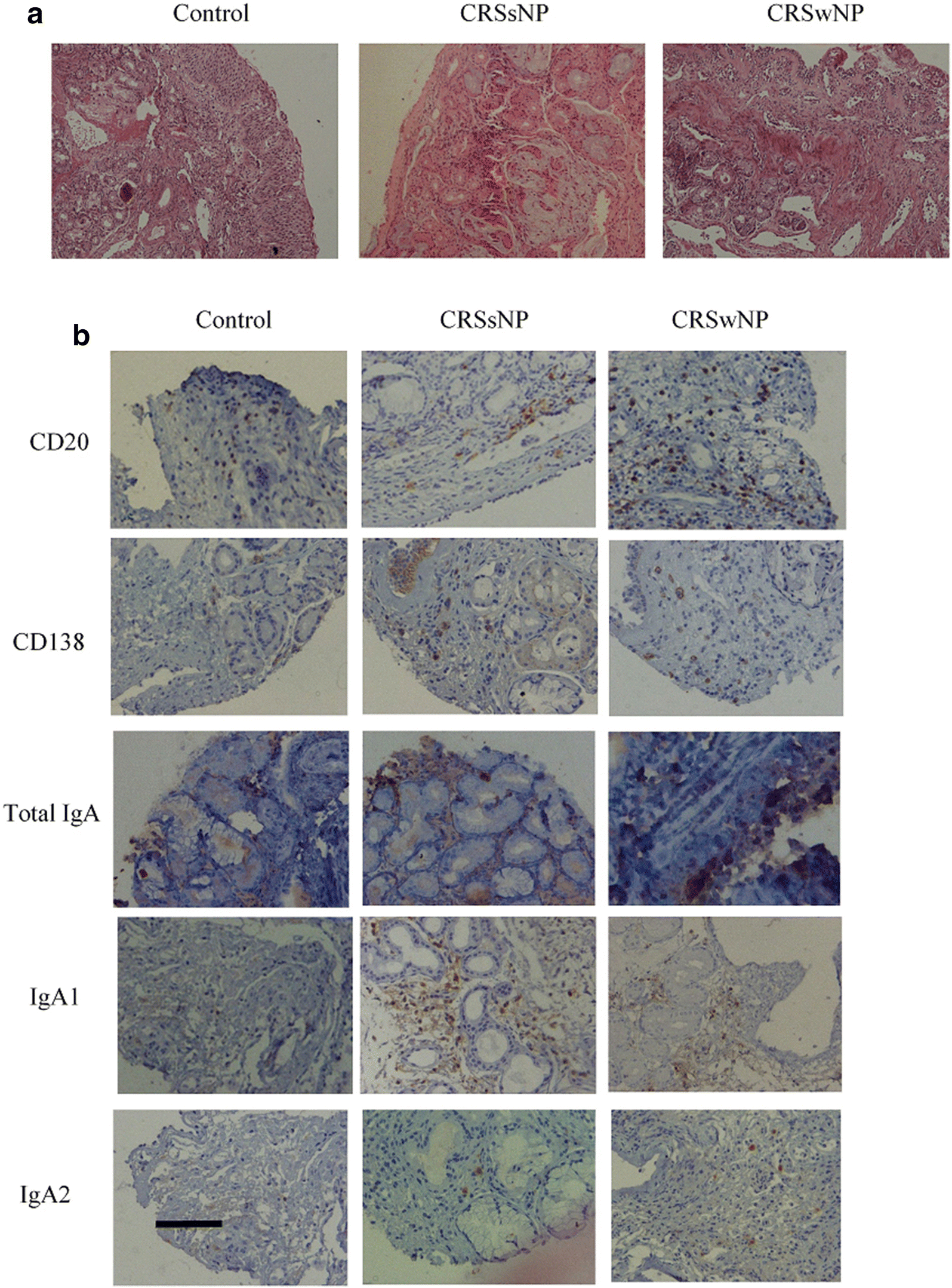 Fig. 1