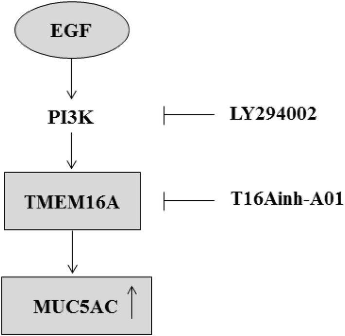 Fig. 6