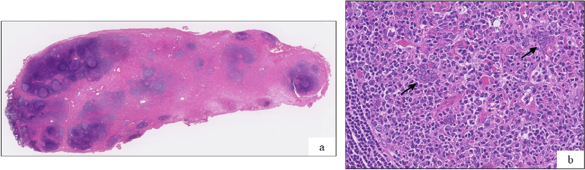 Fig. 5