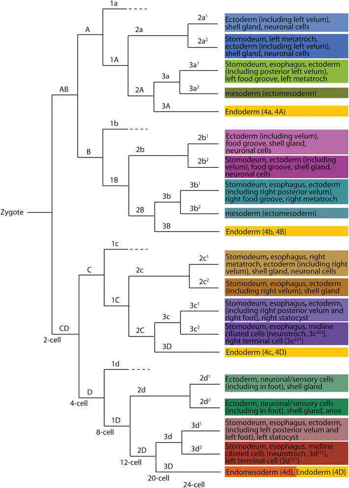 Fig. 15