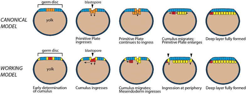 Fig. 2