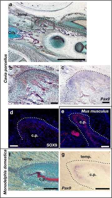 Fig. 3