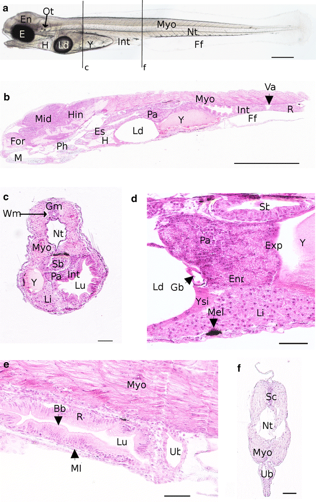 Fig. 9