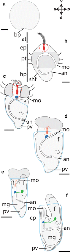 Fig. 2