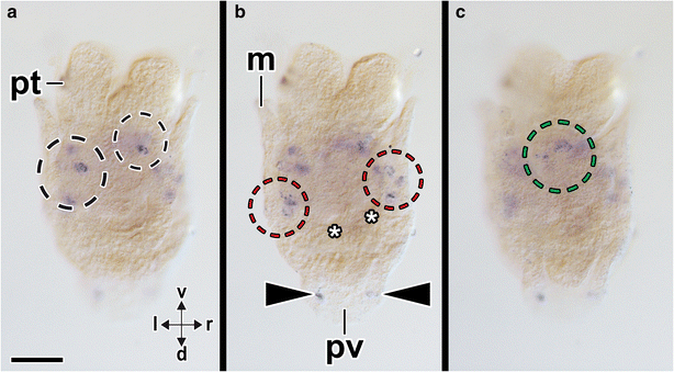 Fig. 9