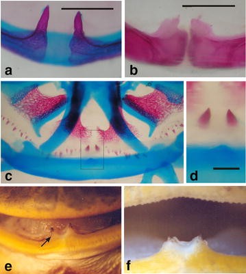 Fig. 10