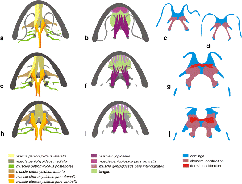 Fig. 12