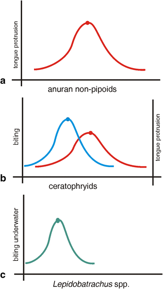 Fig. 13