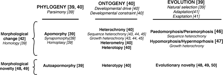 Fig. 3