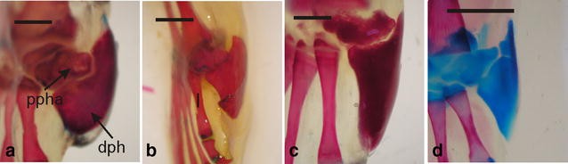 Fig. 7