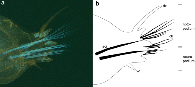 Fig. 1