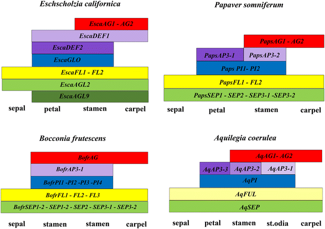 Fig. 9