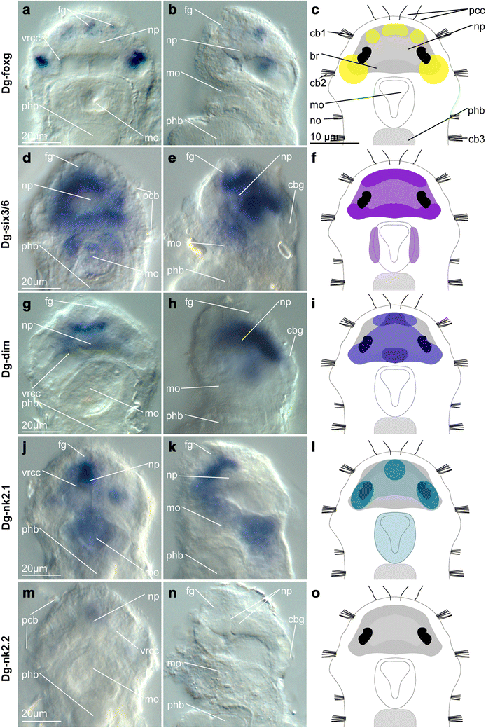 Fig. 3