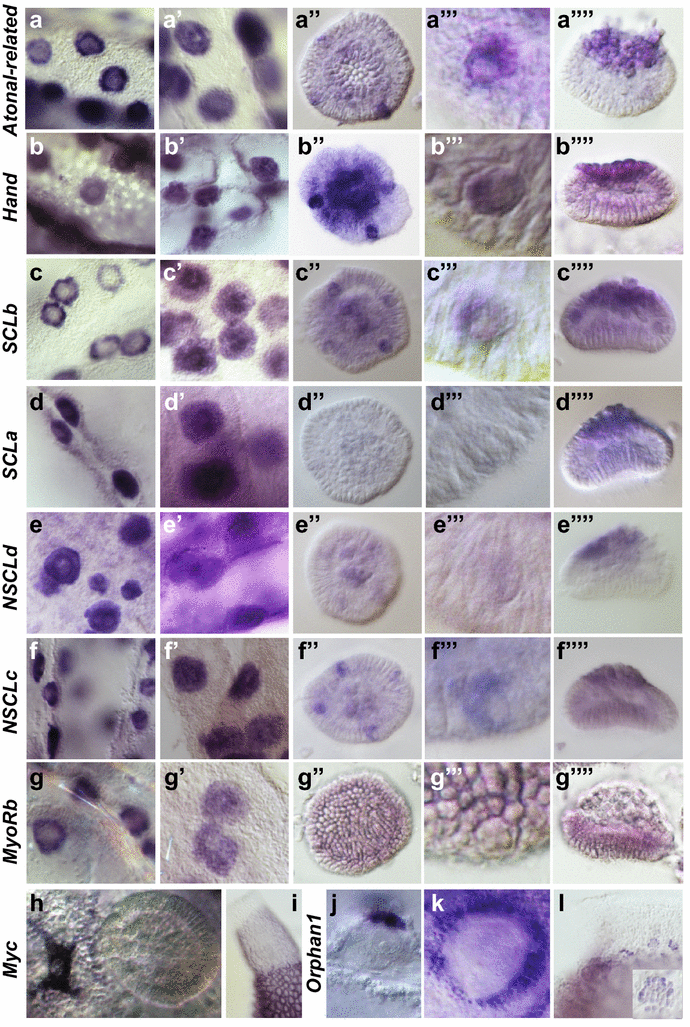 Fig. 3