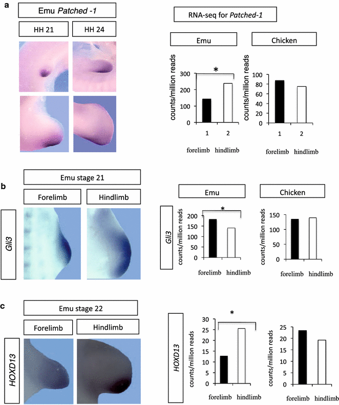 Fig. 8