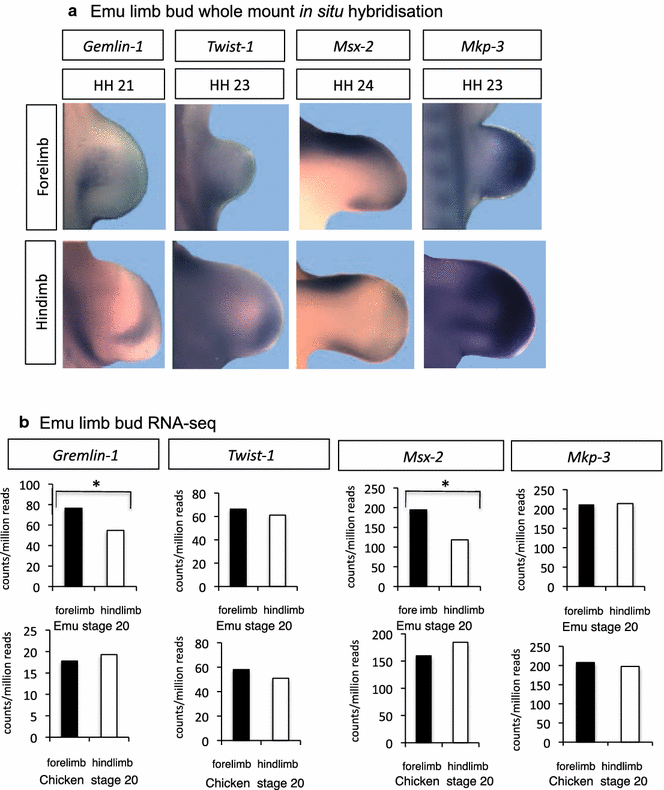 Fig. 9