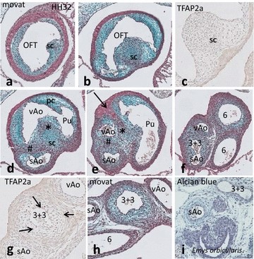 Fig. 6