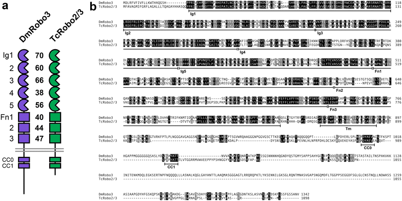 Fig. 1