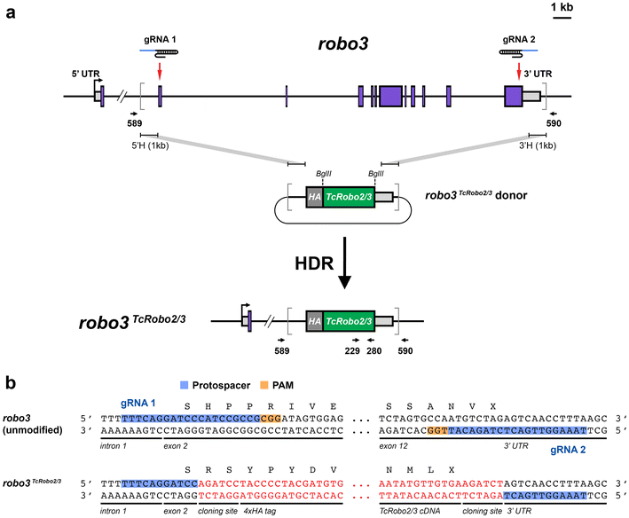 Fig. 2