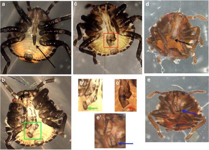 Fig. 3