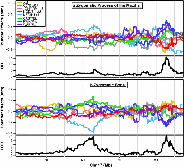 Fig. 4