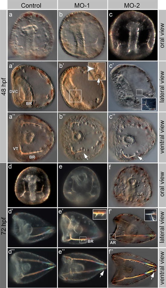 Fig. 3