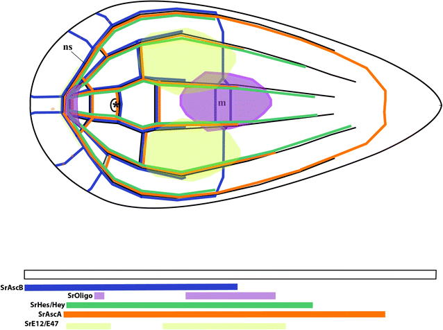 Fig. 8