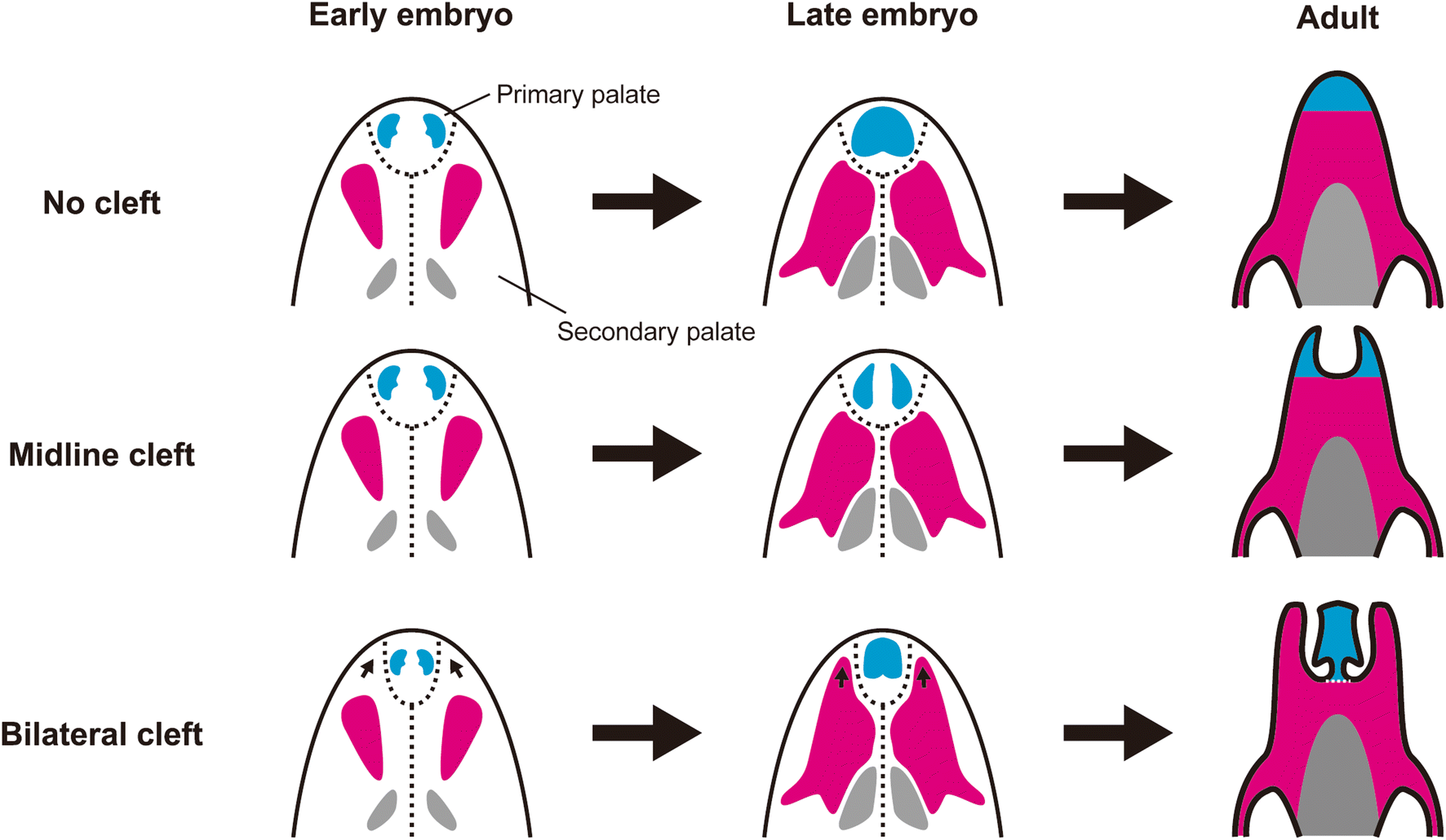 Fig. 6