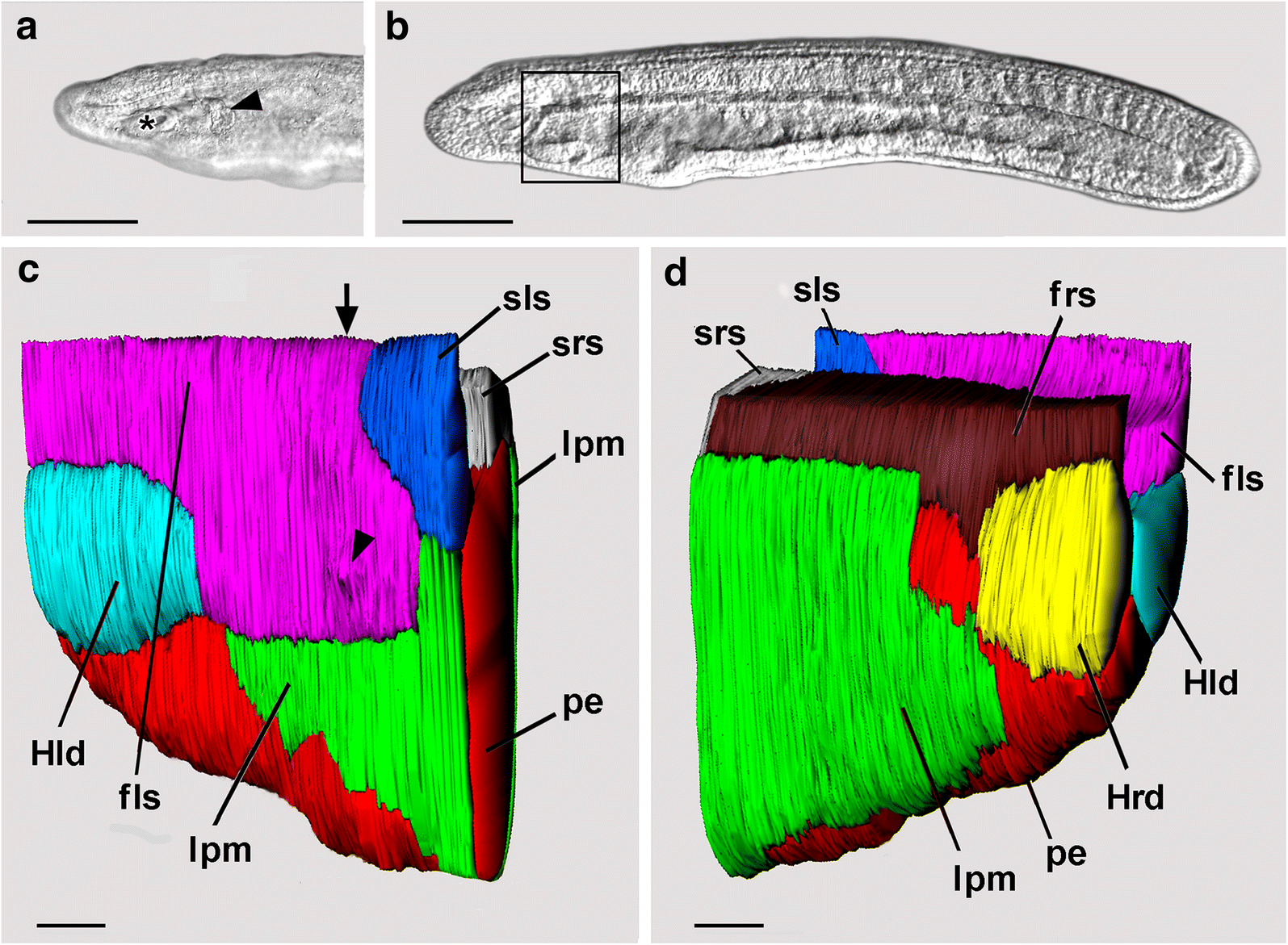 Fig. 4