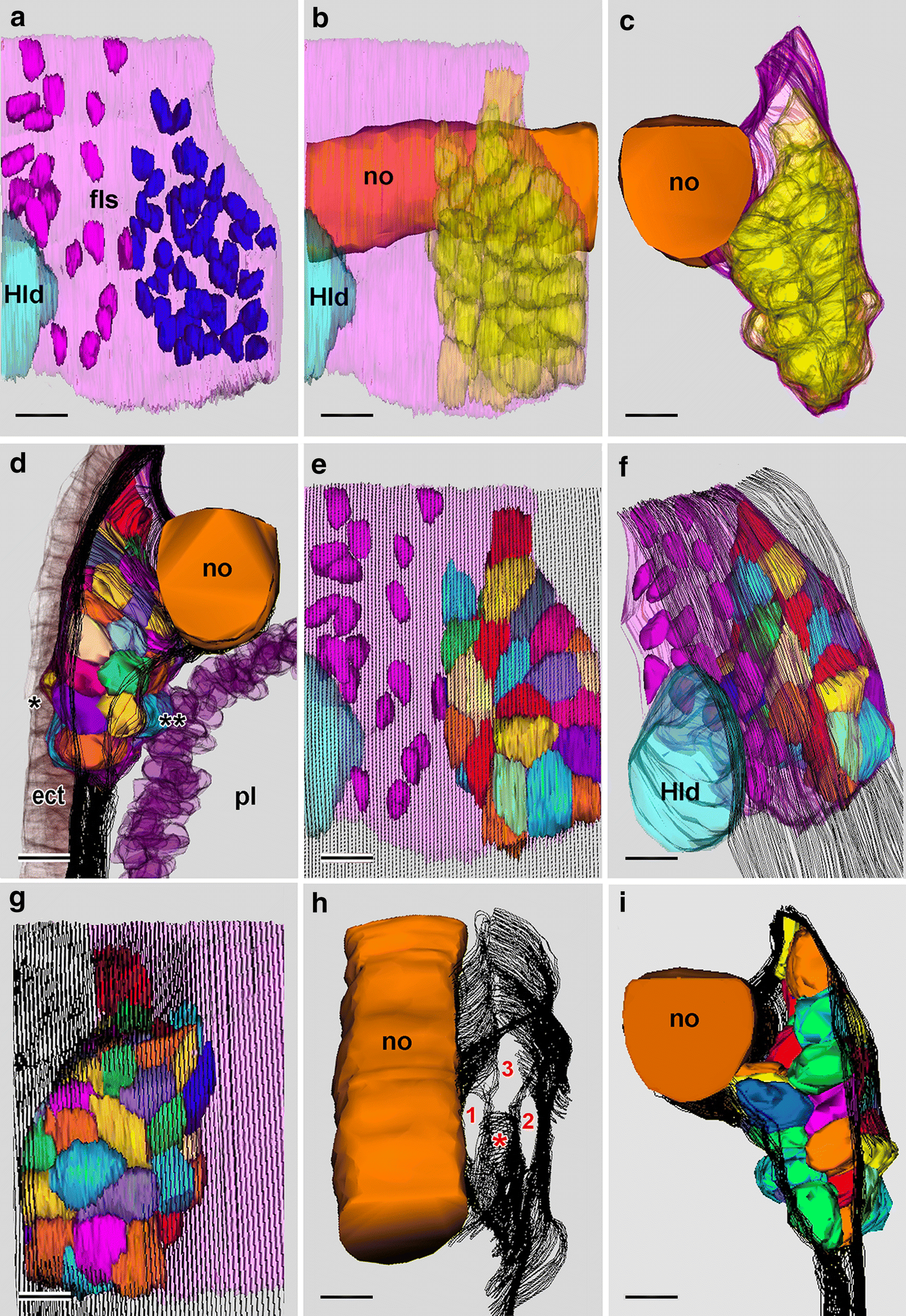 Fig. 6