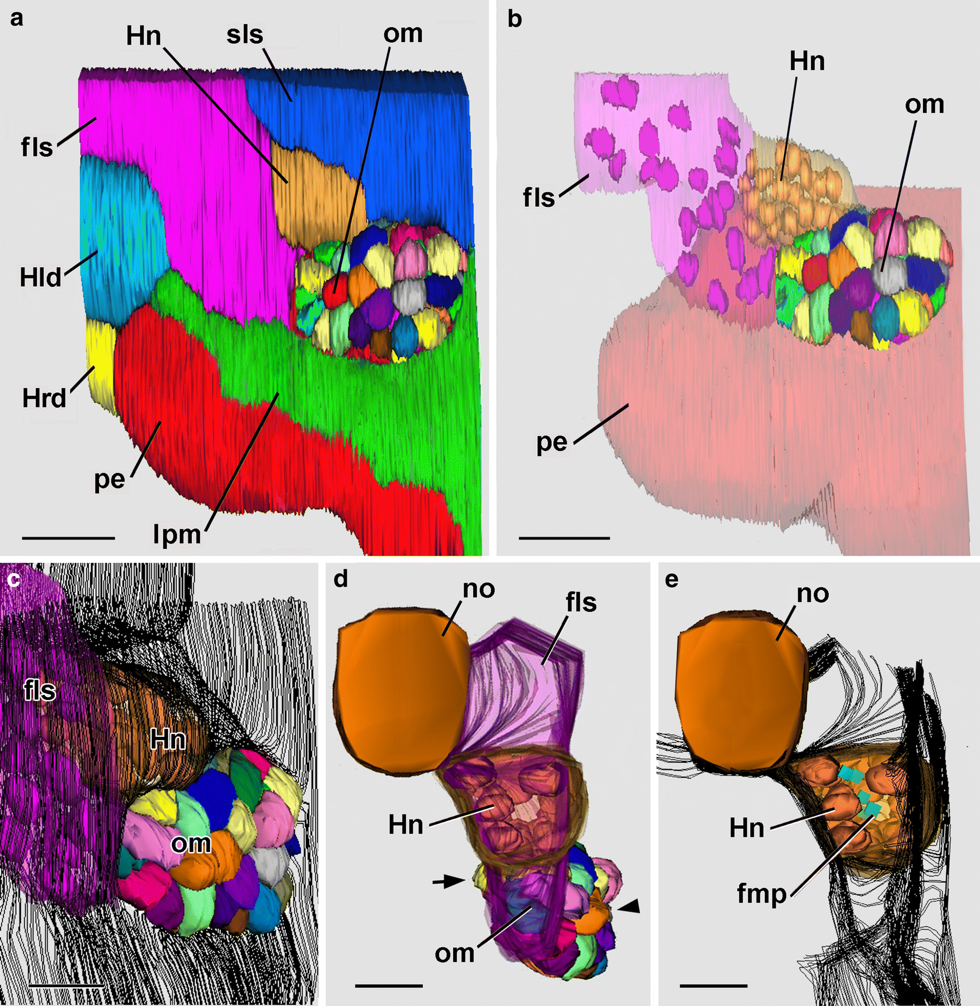 Fig. 7