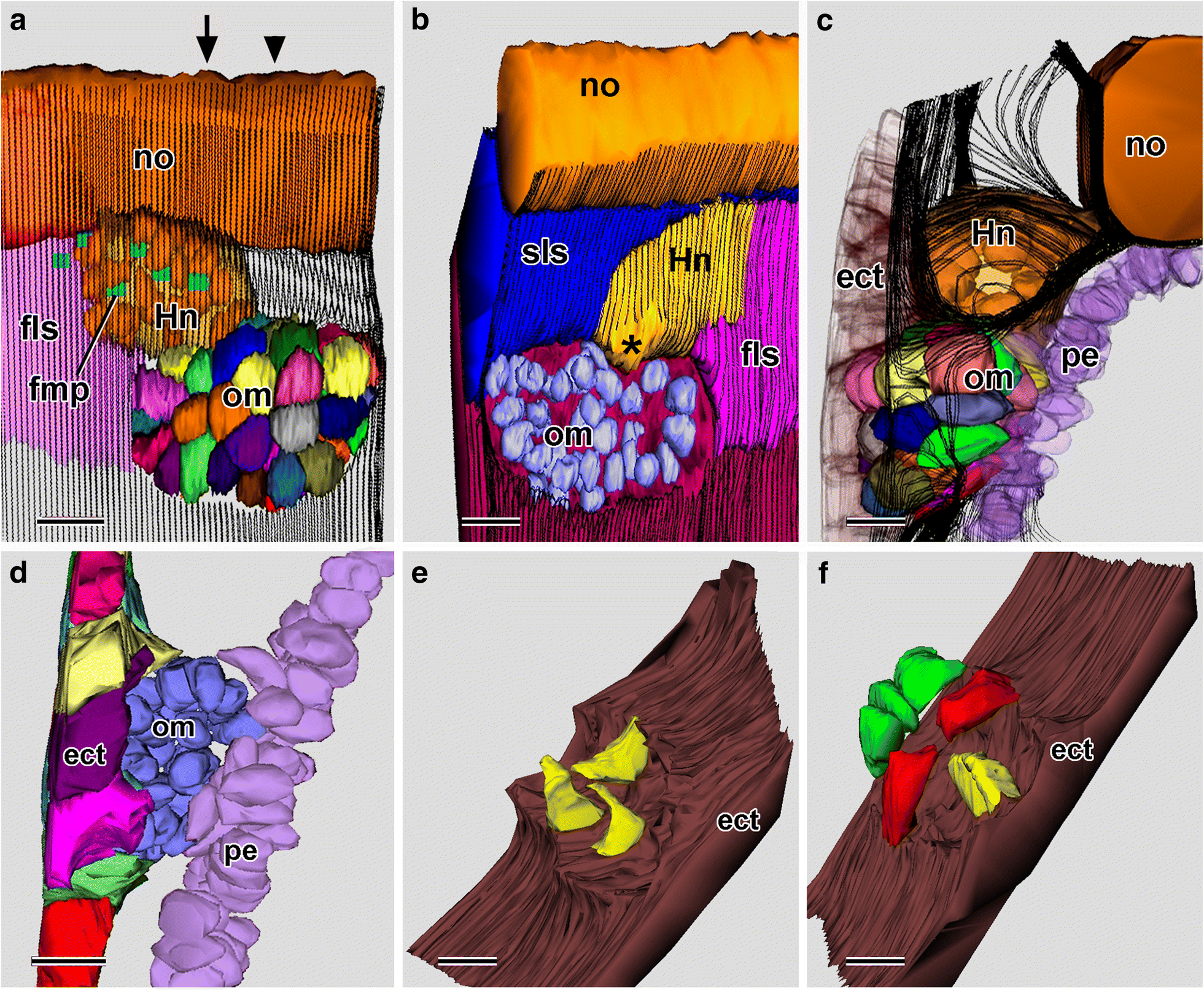 Fig. 8