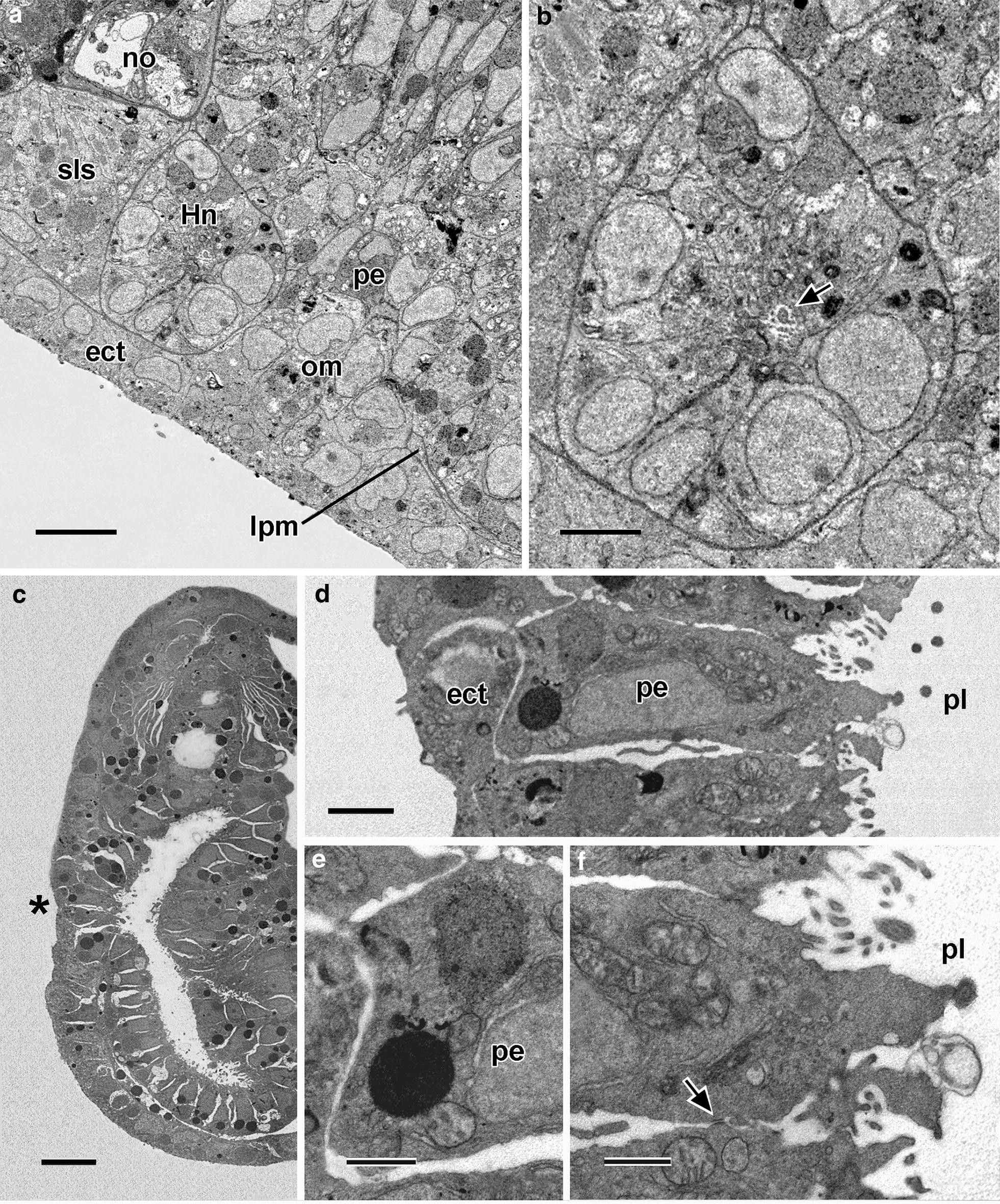 Fig. 9