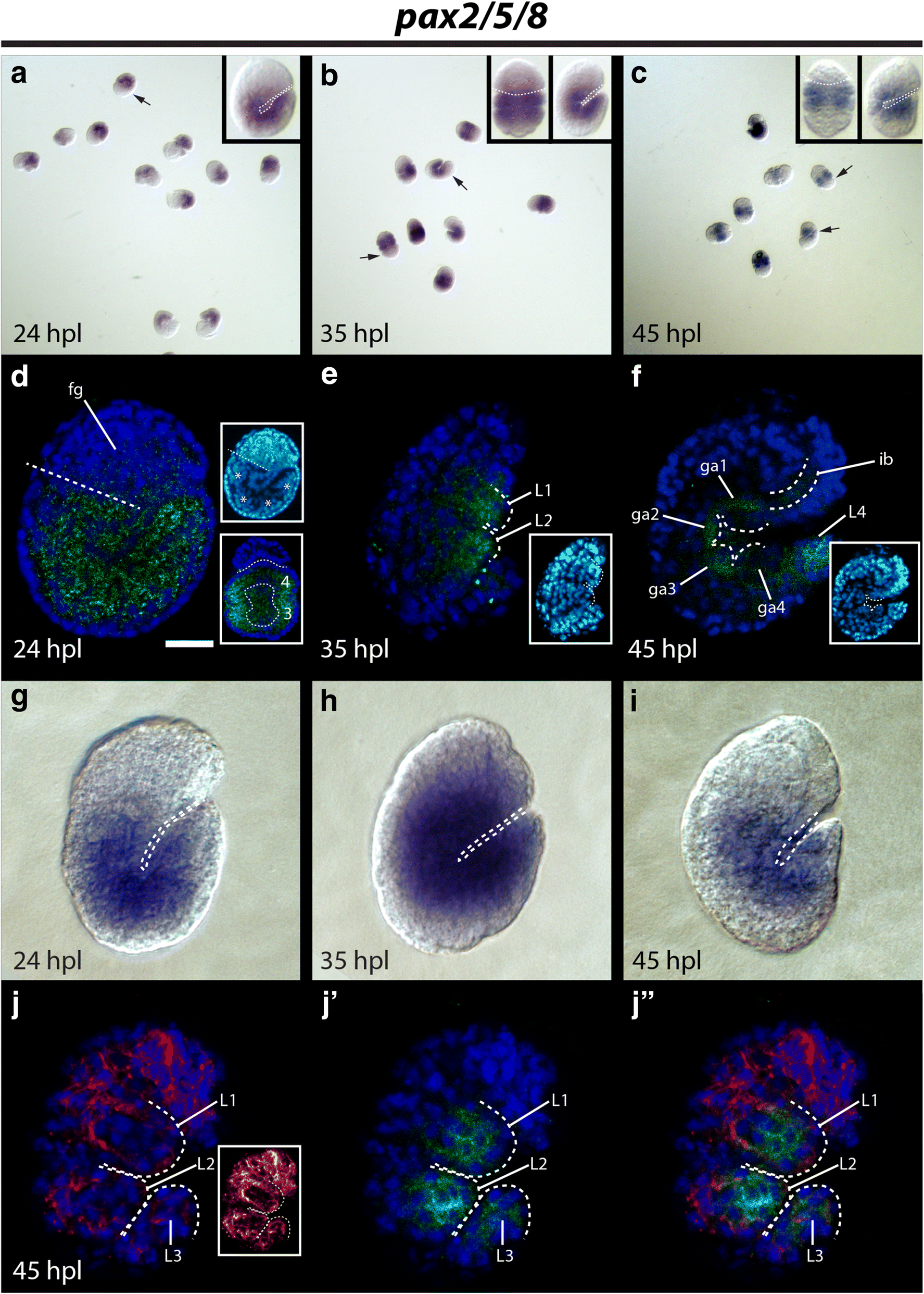 Fig. 10