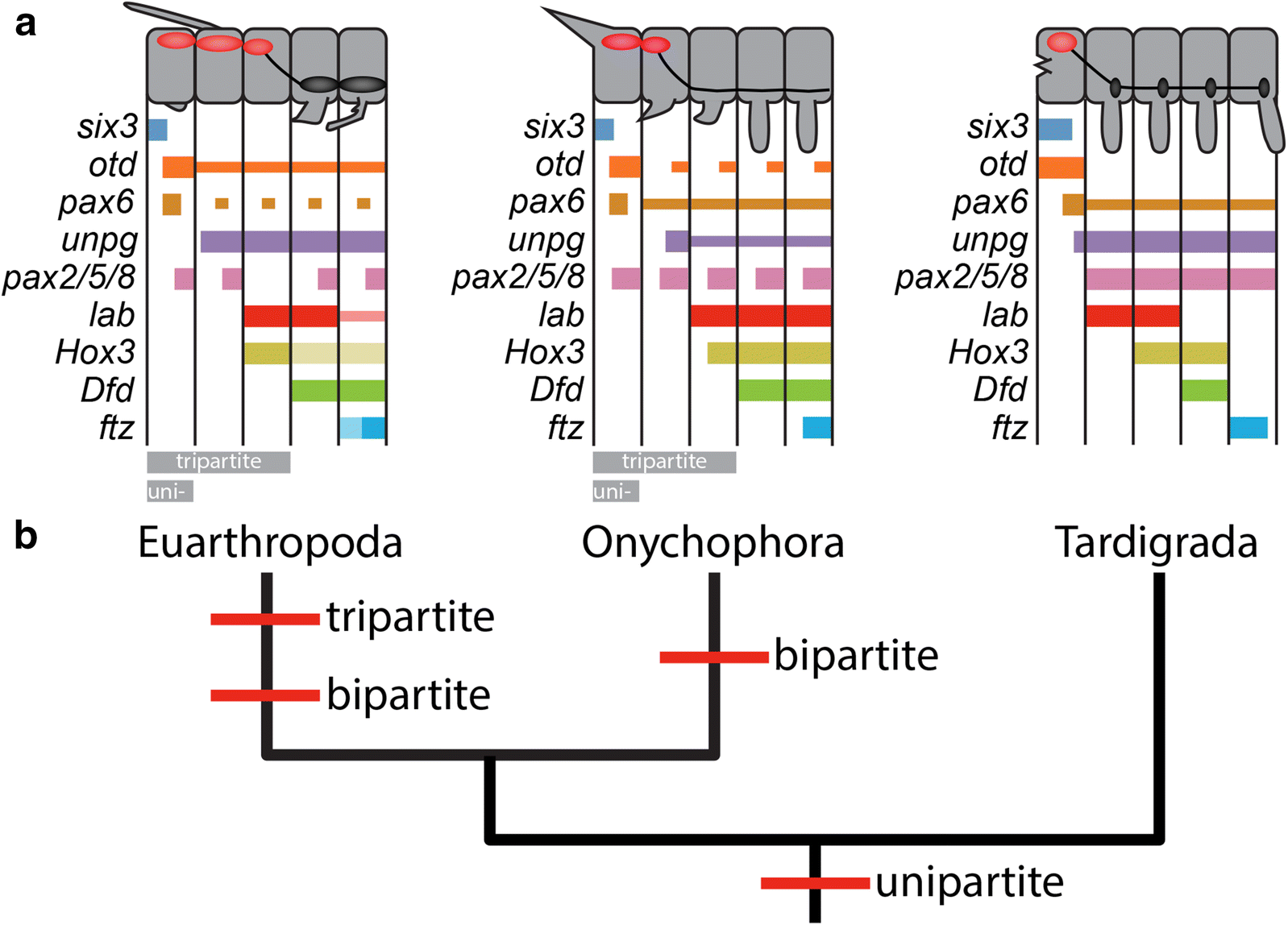 Fig. 11