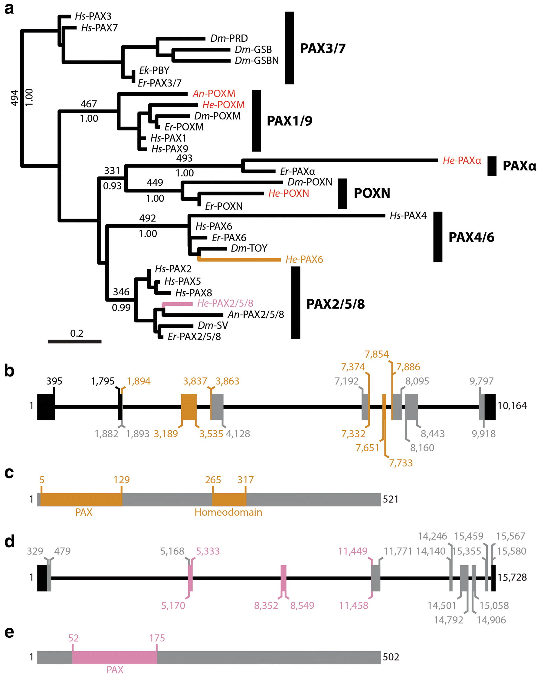 Fig. 7