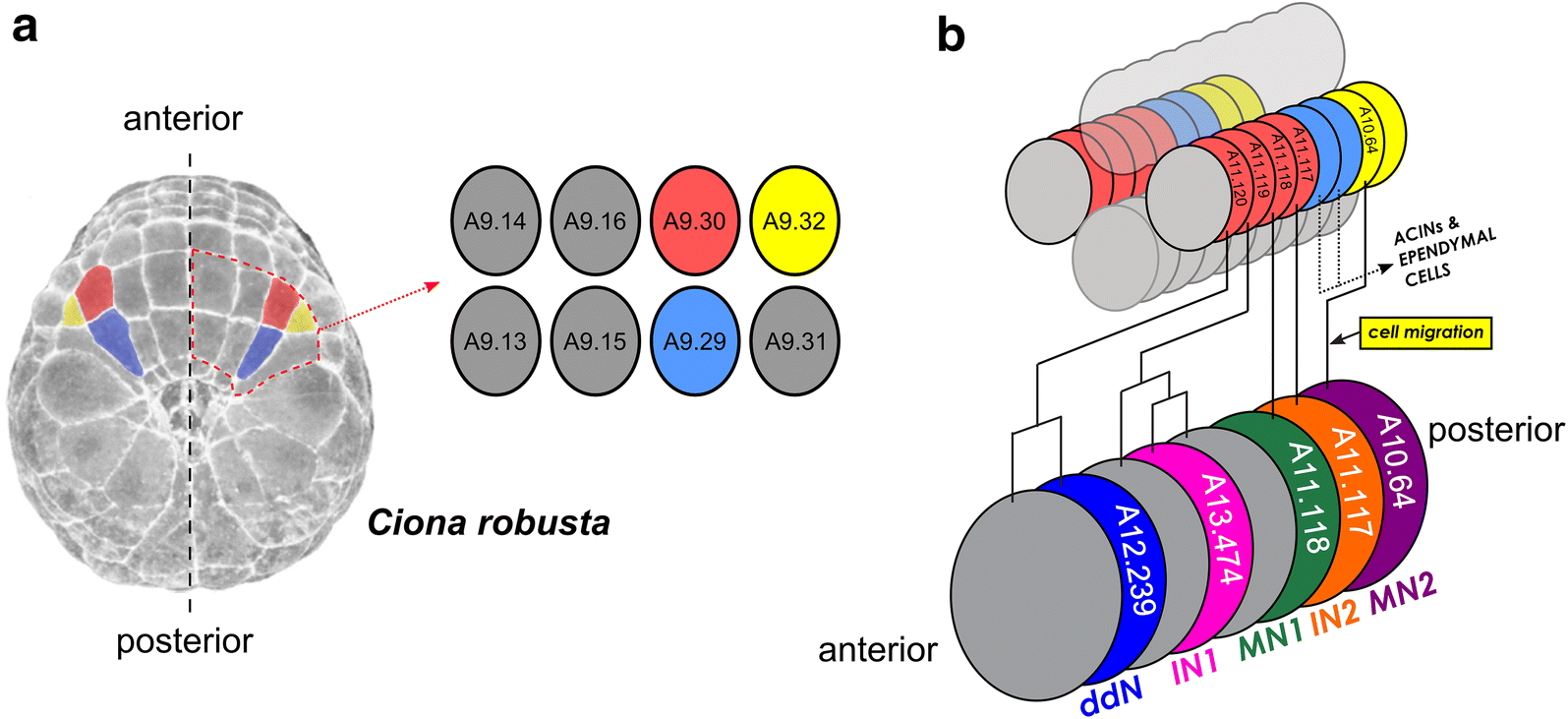 Fig. 2