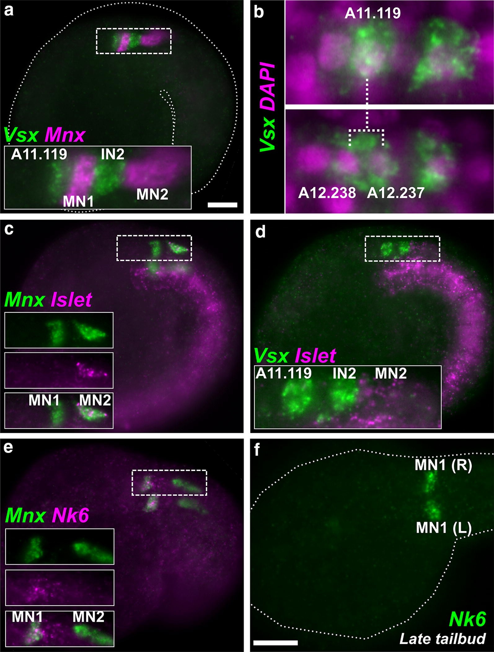 Fig. 4