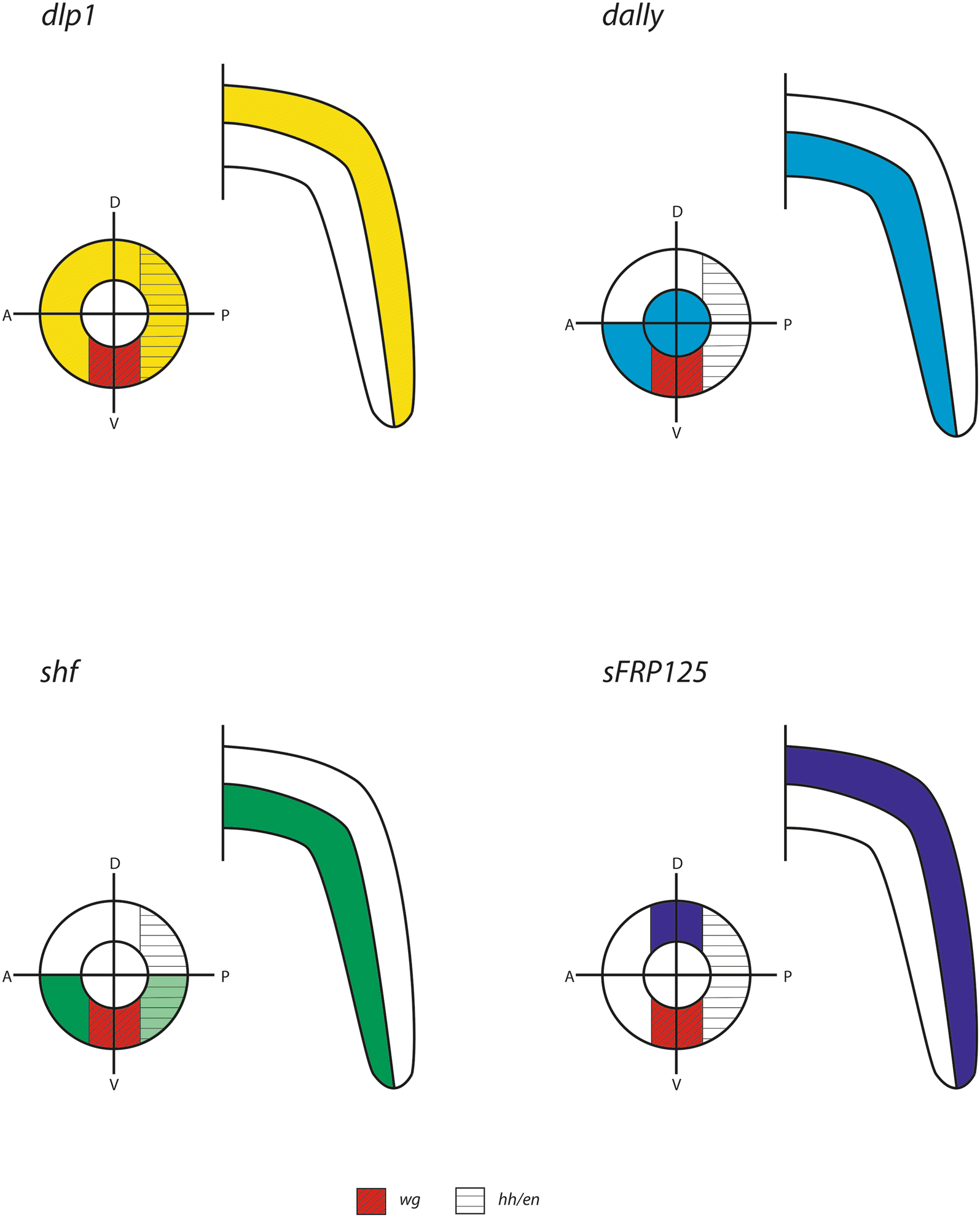 Fig. 13