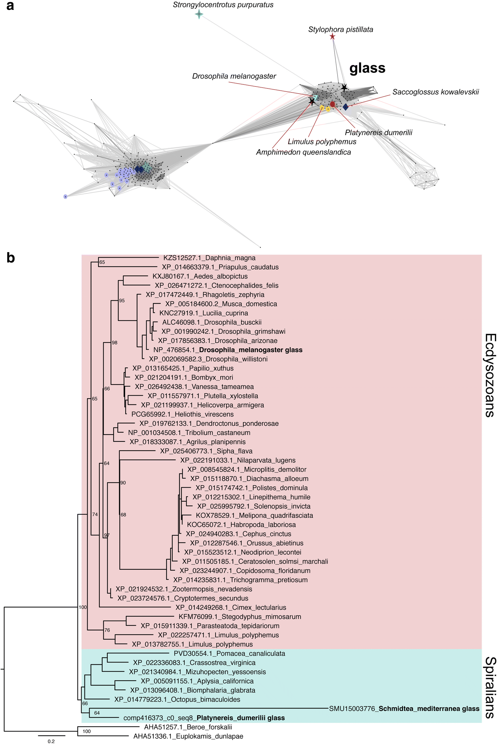 Fig. 1