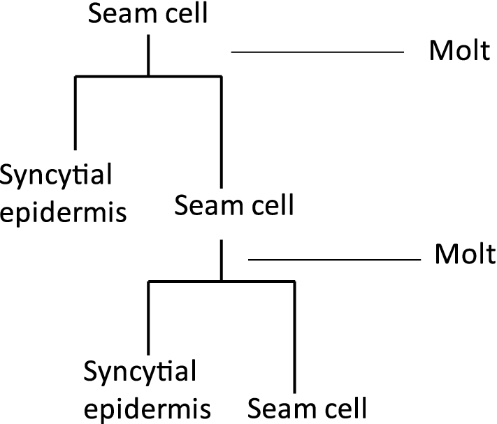 Fig. 2